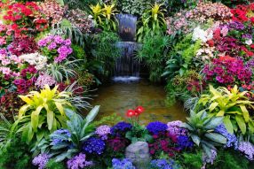 Фотообои Водопад, цветы