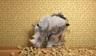 Фотообои 3D носорог пробивает стену