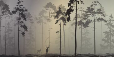Фреска Туманный лес