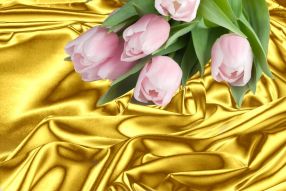 Фотообои Тюльпаны на золотом шелке